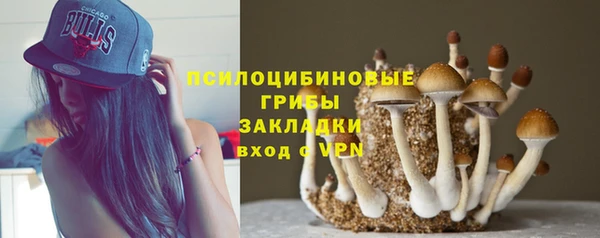 хмурый Верхний Тагил