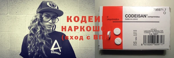 хмурый Верхний Тагил