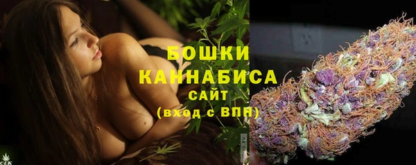 хмурый Верхний Тагил