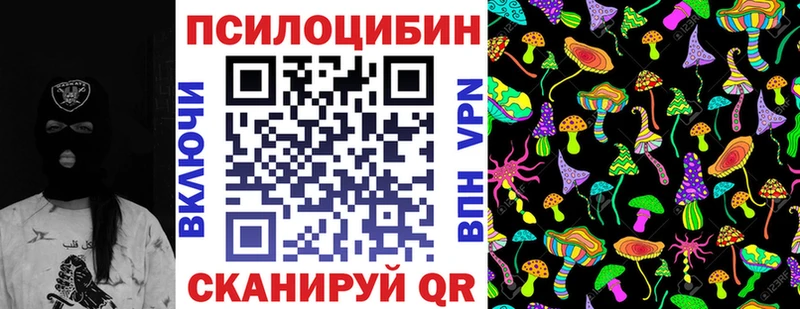 Галлюциногенные грибы GOLDEN TEACHER  где продают   KRAKEN ONION  Ессентуки 